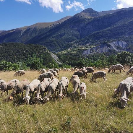 La Peyregoune, Logement En Pleine Nature Et Table D'Hotes Blieux 外观 照片