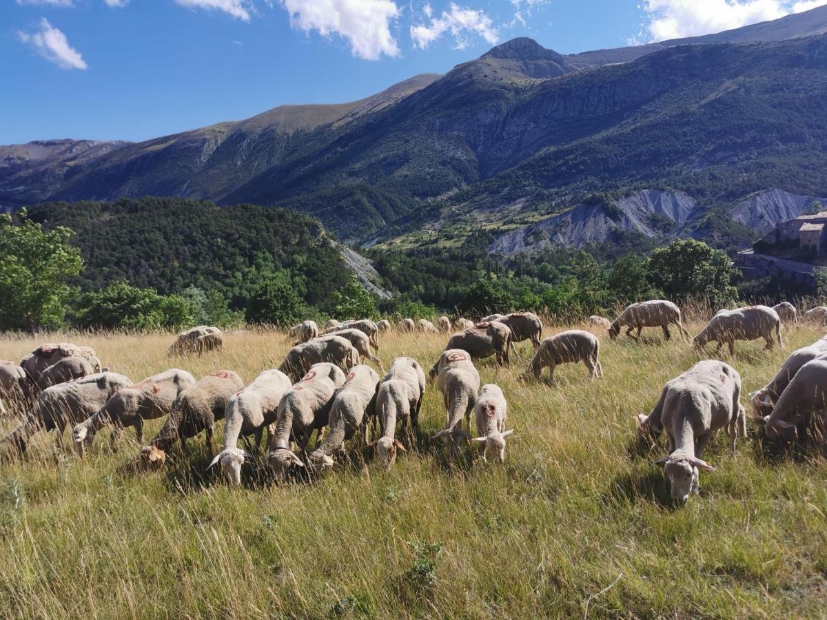 La Peyregoune, Logement En Pleine Nature Et Table D'Hotes Blieux 外观 照片